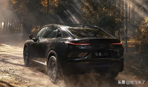 666台限量版乐道L60黑骑士为何一上市就成话题？